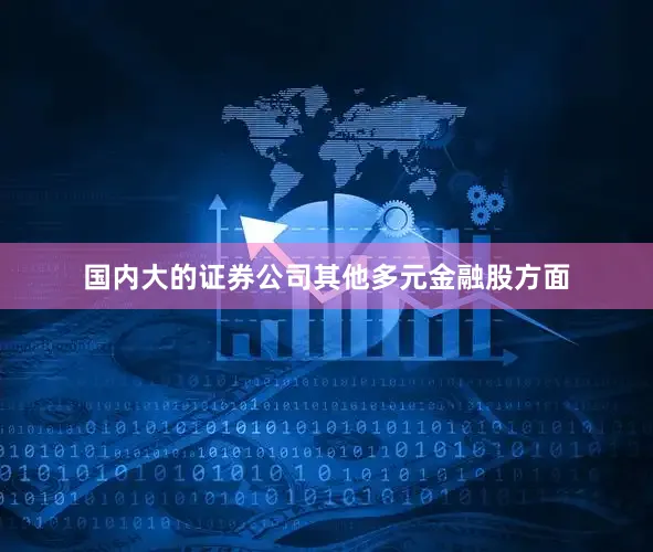 国内大的证券公司　　其他多元金融股方面