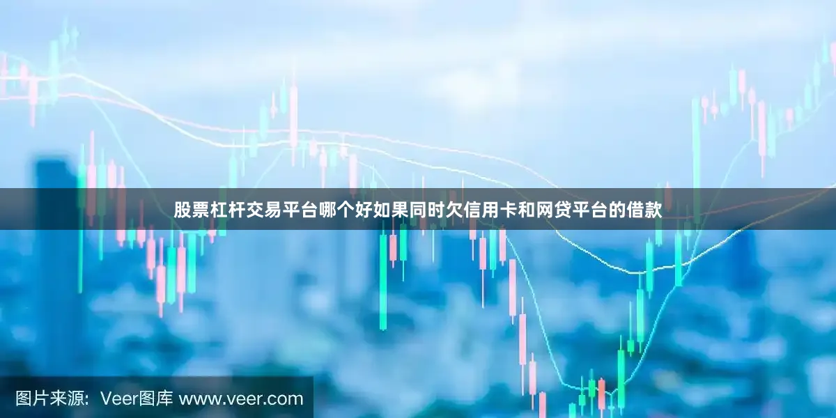股票杠杆交易平台哪个好如果同时欠信用卡和网贷平台的借款
