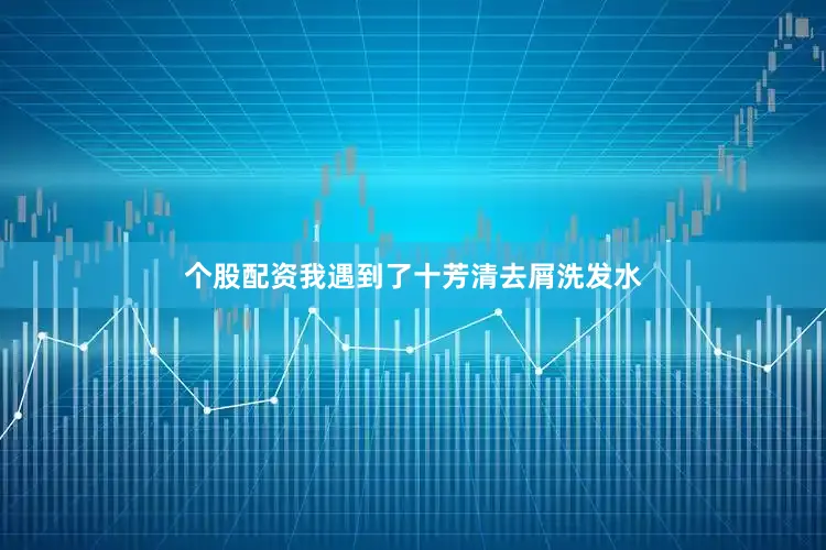 个股配资我遇到了十芳清去屑洗发水